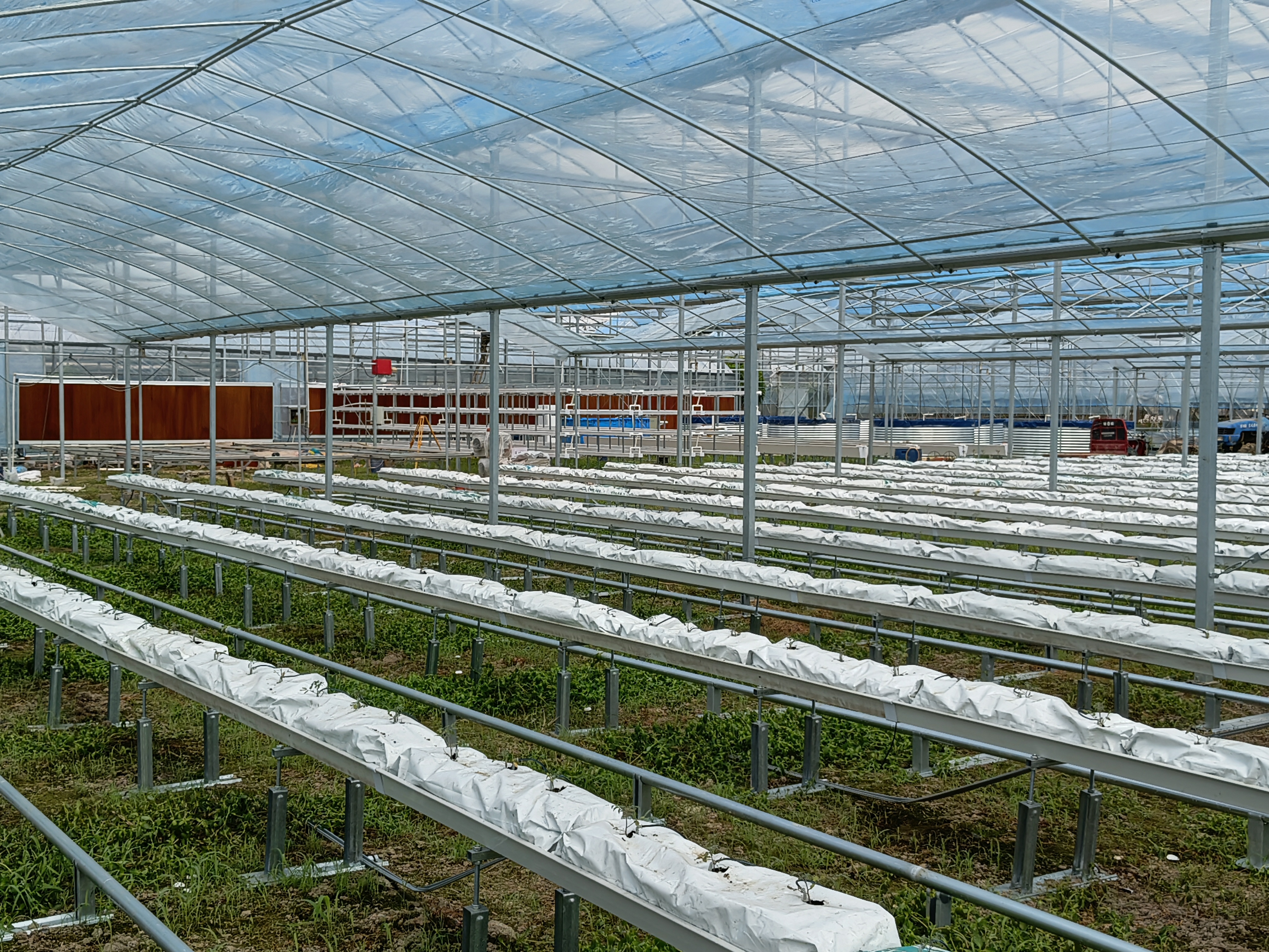 “养鱼不换水,种菜不施肥”——从鱼菜共生到数字农业