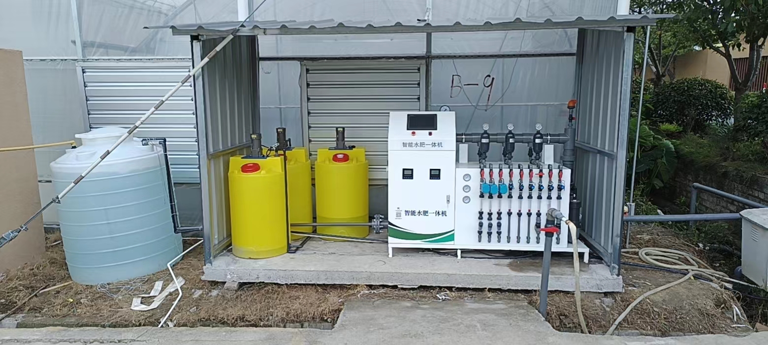 浙江学校教育实践项目