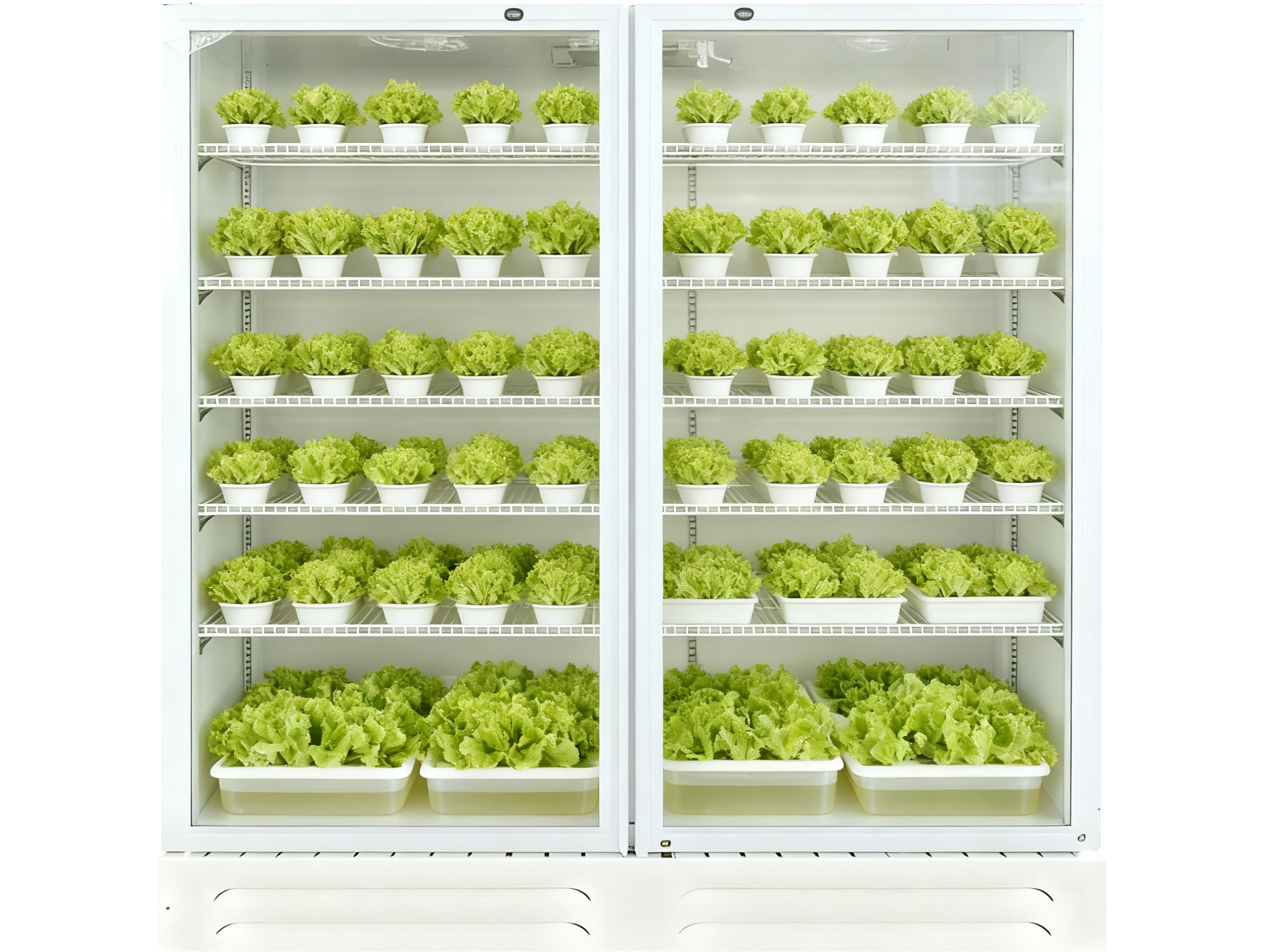 双门水培种植柜